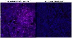 Invitrogen&trade;&nbsp;CD4 Monoclonal Antibody (N1UG0), Alexa Fluor&trade; Plus 647