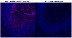 Invitrogen&trade;&nbsp;PD-1 (CD279) Recombinant Rabbit Monoclonal Antibody (RM309), Alexa Fluor&trade; Plus 647