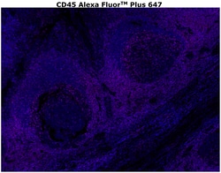 Invitrogen&trade;&nbsp;CD45 Monoclonal Antibody (CD45-2B11), Alexa Fluor&trade; Plus 647