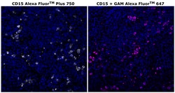 Invitrogen™ CD15 Monoclonal Antibody (MMA), Alexa Fluor™ Plus 750