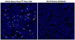 Invitrogen CD15 Monoclonal Antibody (MMA), Alexa Fluor Plus 750 500 &mu;L;