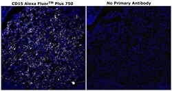 Invitrogen CD15 Monoclonal Antibody (MMA), Alexa Fluor Plus 750 500 &mu;L;
