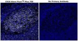 Invitrogen CD20 Monoclonal Antibody (L26), Alexa Fluor Plus 750 500 &mu;L;