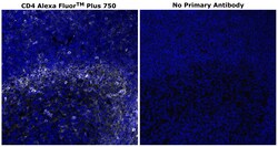 Invitrogen CD4 Monoclonal Antibody (N1UG0), Alexa Fluor Plus 750 500 &mu;L;