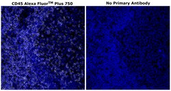 Invitrogen CD45 Monoclonal Antibody (CD45-2B11), Alexa Fluor Plus 750 500 &mu;L | Buy Online | Invitrogen&trade; | Fisher Scientific