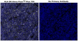 HLA-DR Monoclonal Antibody (LN3), Alexa Fluor&trade; Plus 750, Invitrogen&trade;
