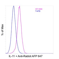 Invitrogen&trade;&nbsp;IL-11 Recombinant Rabbit Monoclonal Antibody (R4P1-C12)