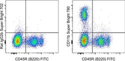 CD11b Monoclonal Antibody (M1/70), Super Bright 780, eBioscience , Invitrogen:Antibodies:Primary