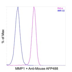Invitrogen&trade;&nbsp;MMP1 Recombinant Mouse Monoclonal Antibody (K29034_8E3)