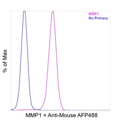 Invitrogen MMP1 Recombinant Mouse Monoclonal Antibody (K29034_8E3) 20 &mu;L | Buy Online | Invitrogen&trade; | Fisher Scientific