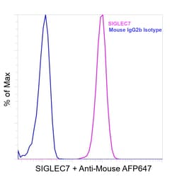 Invitrogen&trade;&nbsp;SIGLEC7 Recombinant Mouse Monoclonal Antibody (K70050_11B4)