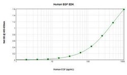 Invitrogen Human EGF ELISA Utvecklingssats (ABTS ), PeproTech 10 x 96 tester | Buy Online | Invitrogen&trade; | Fisher Scientific