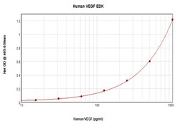 Invitrogen&trade;&nbsp;Human VEGF-165 ELISA Development Kit (ABTS), PeproTech&reg;