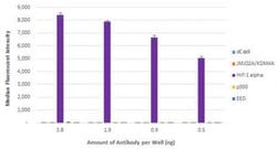HIF-1 alpha Recombinant Mouse Monoclonal Antibody, AbFlex , Active Motif:Antibodies:Primary