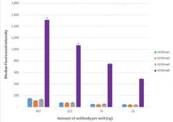Histone H3K9me0 Recombinant Mouse Monoclonal Antibody, AbFlex , Active Motif 10 &mu;g | Buy Online | Active Motif | Fisher Scientific