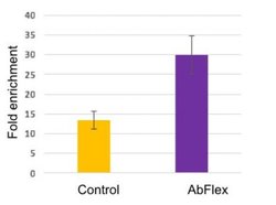 Ago1/2/3 Recombinant Mouse Monoclonal Antibody, AbFlex , Active Motif 100