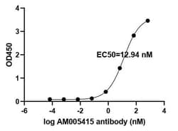 SARS-CoV-2 Spike Human anti-Virus, Unconjugated, Clone: AM005415, Proteintech:Antibodies:Primary