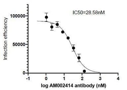 SARS-CoV-2 Spike Human anti-Virus, Unconjugated, Clone: AM002414, Proteintech:Anticuerpos:Anticuerpos