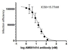 SARS-CoV-2 Spike Human anti-Virus, Unconjugated, Clone: AM001414, Proteintech