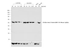 Invitrogen Goat anti-Mouse IgG2a Secondary Antibody, HRP 200 &mu;g; HRP:Antibodies,