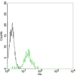 His Tag Mouse, Clone: 6G2A9, THE , GenScript 100 &mu;g; Unconjugated:Antibodies,