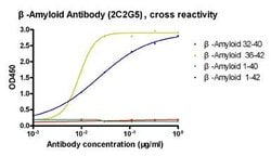 beta-Amyloid 1-42 Mouse anti-Human, Clone: 2C2G5, GenScript 40 &mu;g; Unconjugated:Antibodies,