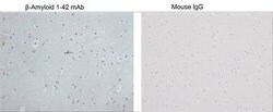 beta-Amyloid 1-42 Mouse anti-Human, Clone: 2C2G5, GenScript 40 &mu;g; Unconjugated:Antibodies,