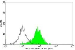 DYKDDDDK Tag Mouse, FITC, Clone: 5A8E5, THE , GenScript 100 &mu;g | Buy Online | Genscript Corporation | Fisher Scientific