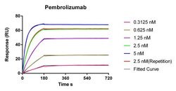 Pembrolizumab Rabbit, Biotin, Clone: 90G12, GenScript 40 &mu;g; Biotin:Antibodies,