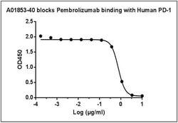 Pembrolizumab Rabbit, Biotin, Clone: 90G12, GenScript 40 &mu;g; Biotin:Antibodies,