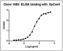 SpCas9 Mouse anti-Bacteria, Clone: 14B6, GenScript 40 &mu;g; Unconjugated:Antibodies,