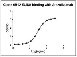 Atezolizumab Mouse, Clone: 6B12, GenScript 40 &mu;g; Unconjugated:Antibodies,