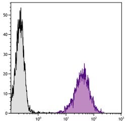 Invitrogen CD80 Monoclonal Antibody (1G10), PE 25 &mu;g; PE:Antibodies,