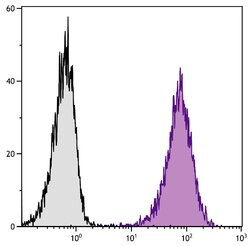 Invitrogen CD80 Monoclonal Antibody (1G10), APC 25 &mu;g; APC:Antibodies,