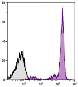 Invitrogen CD45.2 Monoclonal Antibody (104), PE-Cyanine7 25 &mu;g; PE-Cyanine7:Antibodies,