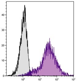 Invitrogen ICAM-1 Monoclonal Antibody (YN1/1.7.4), APC 100 &mu;g; APC:Antibodies,