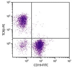 Invitrogen TCR beta Monoclonal Antibody (H57-597), PE 100 &mu;g; PE:Antibodies,