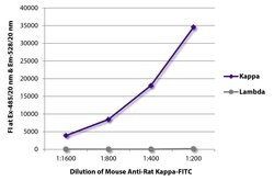 Invitrogen Mouse anti-Rat Kappa Light Chain Secondary Antibody, FITC 100