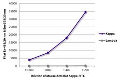 Mouse anti-Rat Kappa Light Chain Secondary Antibody, FITC, Invitrogen&trade; 100 &mu;g; FITC 