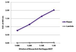 Invitrogen Mouse anti-Rat Kappa Light Chain Secondary Antibody, Biotin