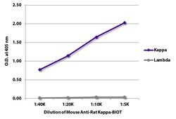 Mouse anti-Rat Kappa Light Chain Secondary Antibody, Biotin, Invitrogen&trade; 100 &mu;g; Biotin 