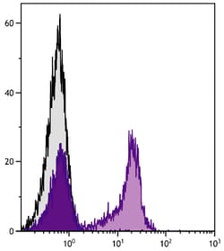 Invitrogen Mouse anti-Rat Kappa Light Chain Secondary Antibody, PE 100