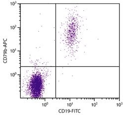 Invitrogen CD79b Monoclonal Antibody (CB3-1), APC 100 &mu;g; APC:Antibodies,