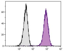 LAMP2 Monoclonal Antibody (H4B4), Alexa Fluor&trade; 647, Invitrogen&trade; 100 &mu;g; Alexa Fluor 647 