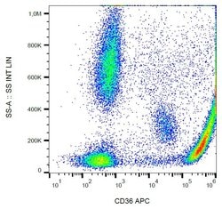 Invitrogen CD36 Monoclonal Antibody (CB38 (NL07)), APC 100 Tests; APC:Antibodies,
