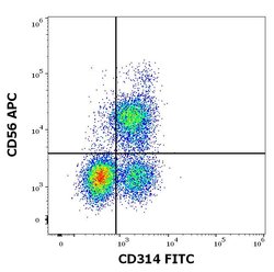 Invitrogen NKG2D Monoclonal Antibody (1D11), FITC 100 Tests; FITC:Antibodies,