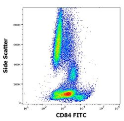 Invitrogen CD84 Monoclonal Antibody (CD84.1.21), FITC 100 Tests; FITC:Antibodies,