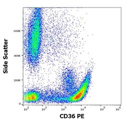 Invitrogen CD36 Monoclonal Antibody (CB38 (NL07)), PE 100 Tests | Buy Online | Invitrogen&trade; | Fisher Scientific