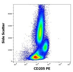 Invitrogen CD205 Monoclonal Antibody (HD30), PE 100 Tests; PE:Antibodies,