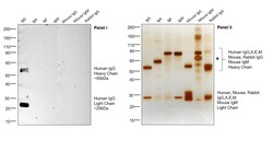 Invitrogen F(ab')2-Goat anti-Human IgG (H+L) Secondary Antibody 1 mg | Buy Online | Invitrogen&trade; | Fisher Scientific